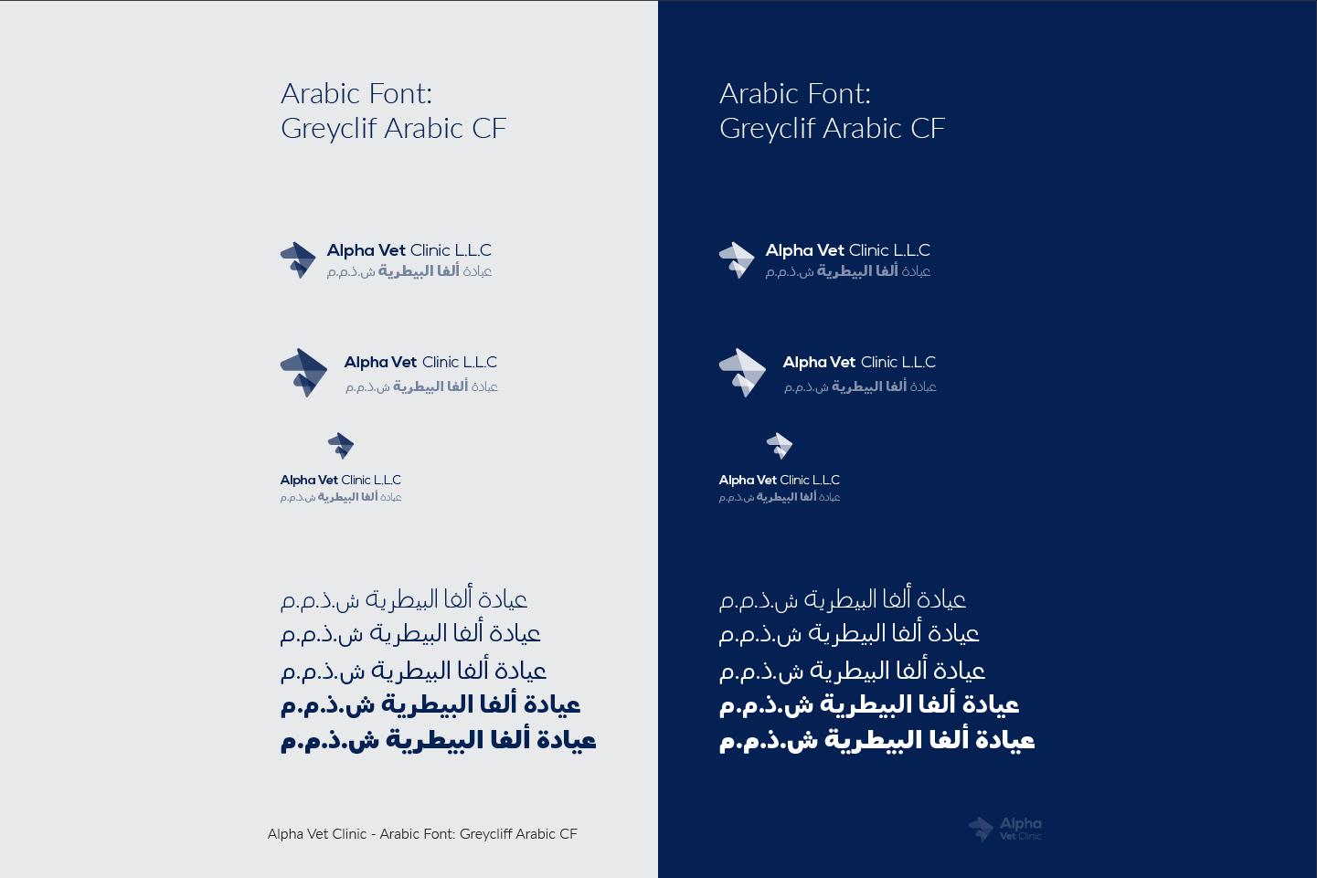 Arabic font selection for Alpha Vet Clinic brand identity – Dubai veterinary clinic branding