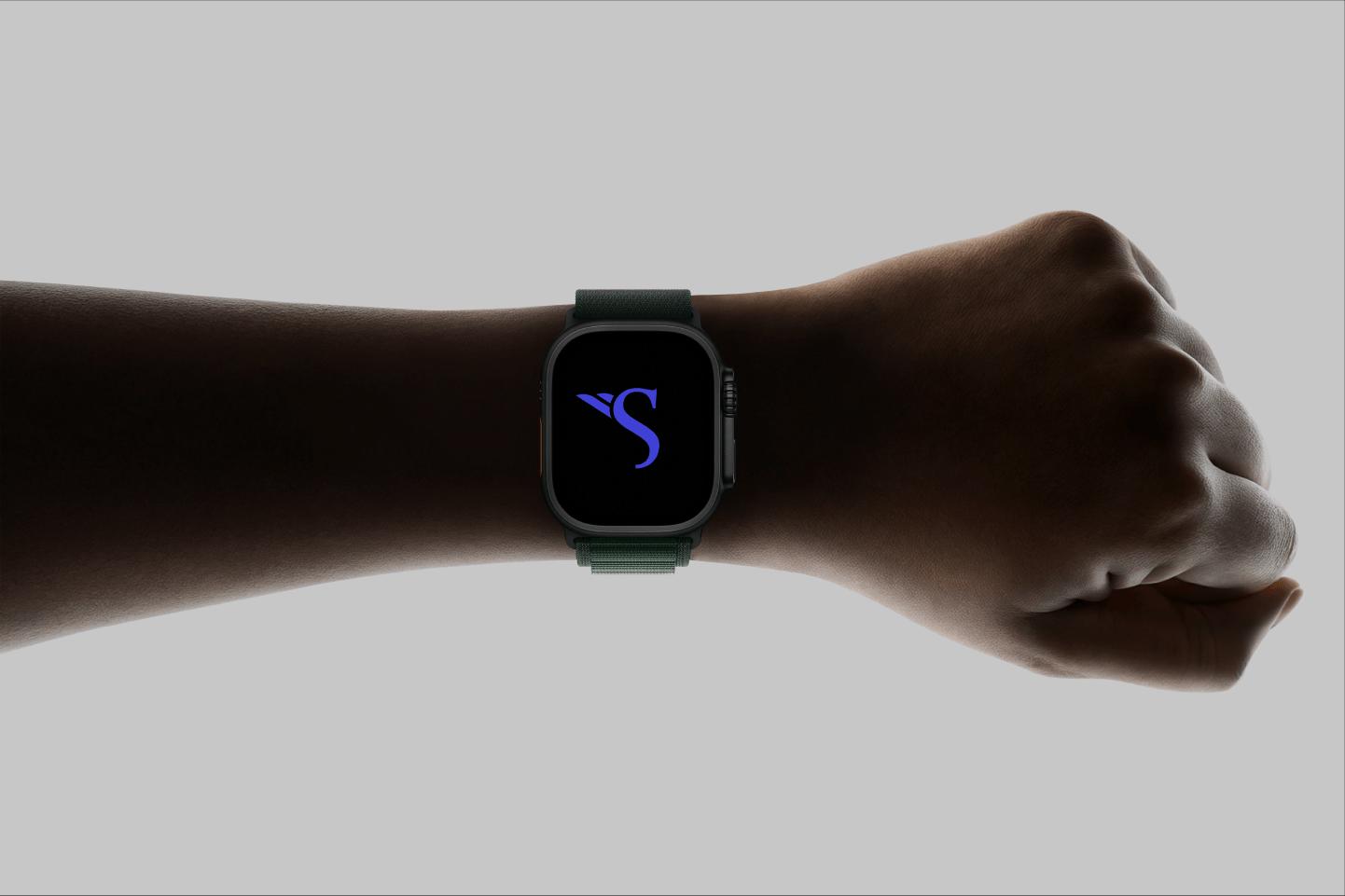 The Software Firm brand identity design